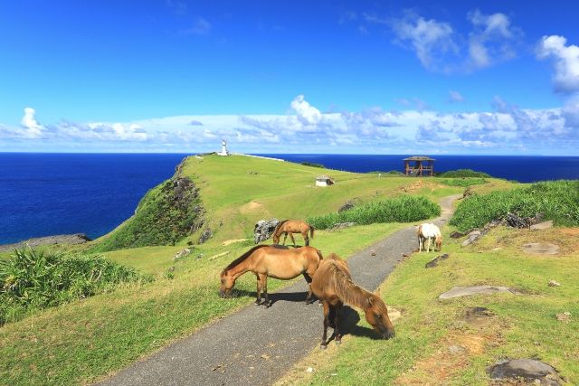 Yonaguni Island, Higashizaki, Sea and Horses