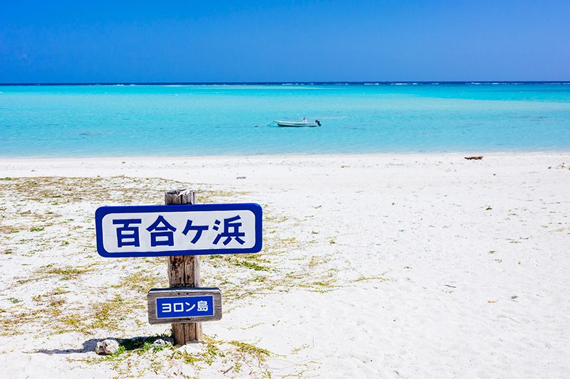 百合ヶ浜の行き方と2025年の出現時期は?上陸ツアー人気ランキングを紹介!