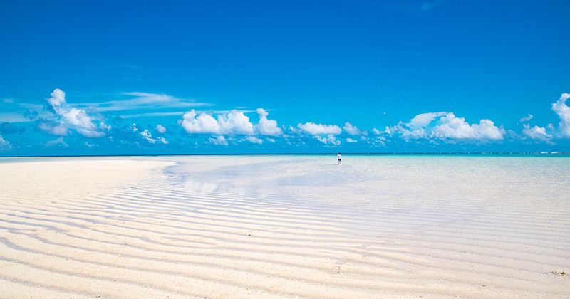 百合ヶ浜の行き方と2025年の出現時期は?上陸ツアー人気ランキングを紹介!
