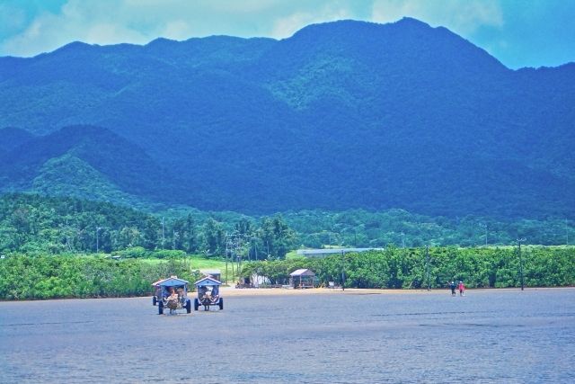 沖縄　由布島　水牛車