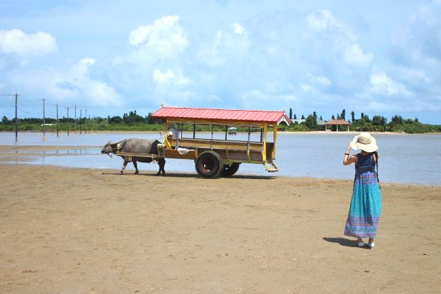 沖縄　由布島　水牛車をみる女性