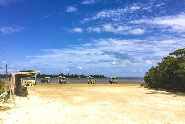 沖縄　西表島　由布島　水牛車乗り場
