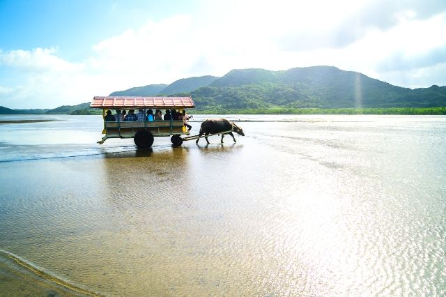 沖縄　由布島　写真映え　絶景