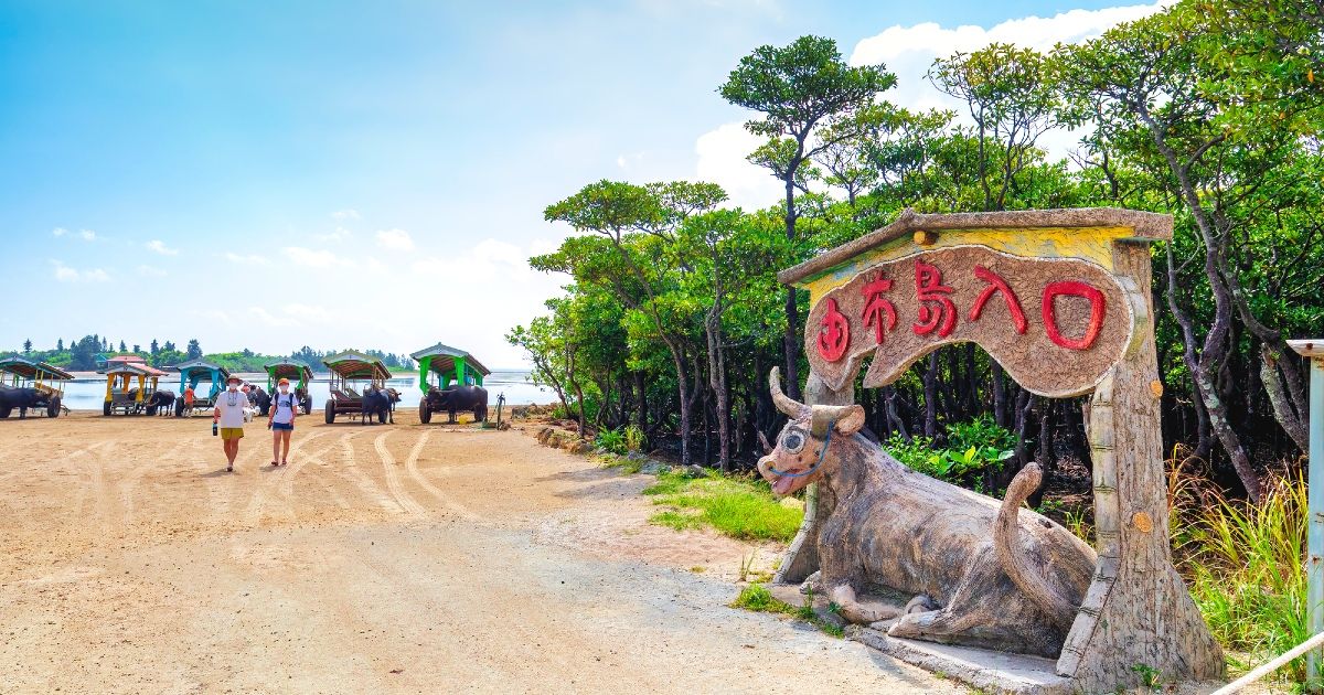 Can you walk across Yubu Island? A comprehensive guide to the benefits, procedures, and comparison with water buffalo carts