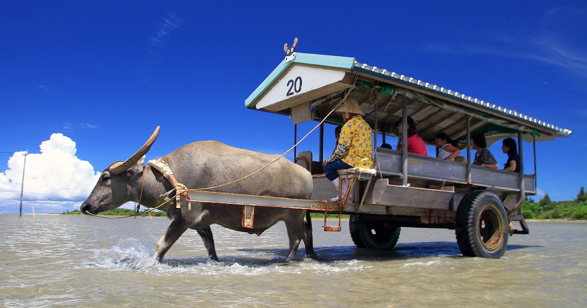 คู่มือฉบับสมบูรณ์สำหรับการเดินทางไปยังเกาะยูบุ | อธิบายเส้นทางที่สั้นที่สุดจากเกาะอิชิงากิและเกาะอิริโอโมเตะ