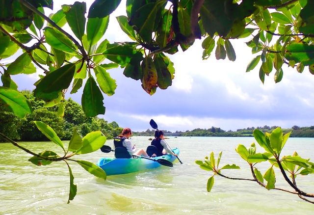 沖縄・宮古島「縄文トライブス　宮古島」　ユニの浜　マングローブカヌーツアーの様子