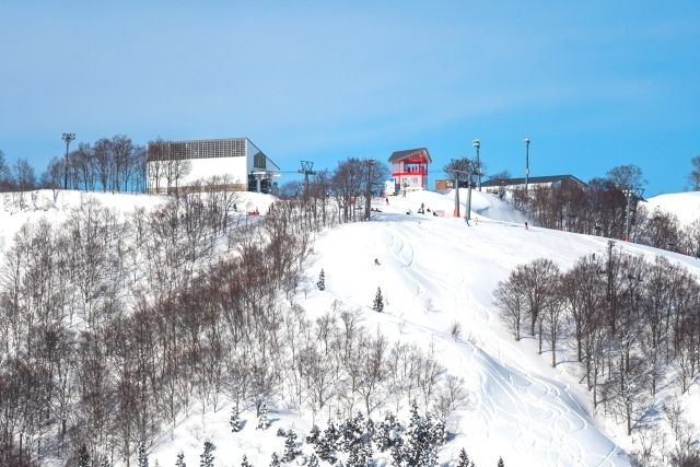 湯澤高原滑雪場的滑雪場風景