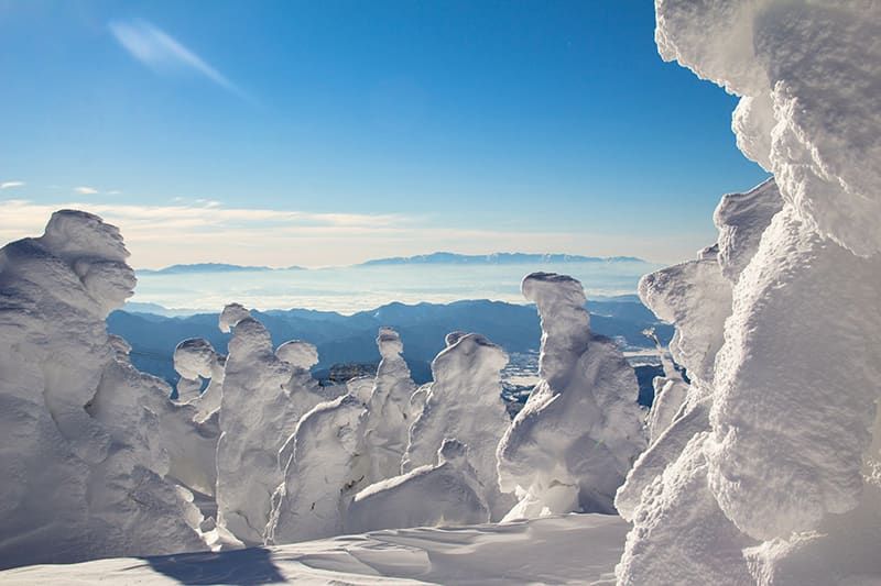 A superb view that is rare in the world! About Zao's rime