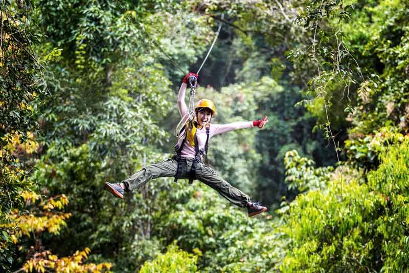 Ziplining And Thrilling Forest Adventures In Japan Activity Japan Blog