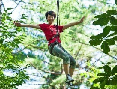 Ziplining And Thrilling Forest Adventures In Japan Activity Japan Blog