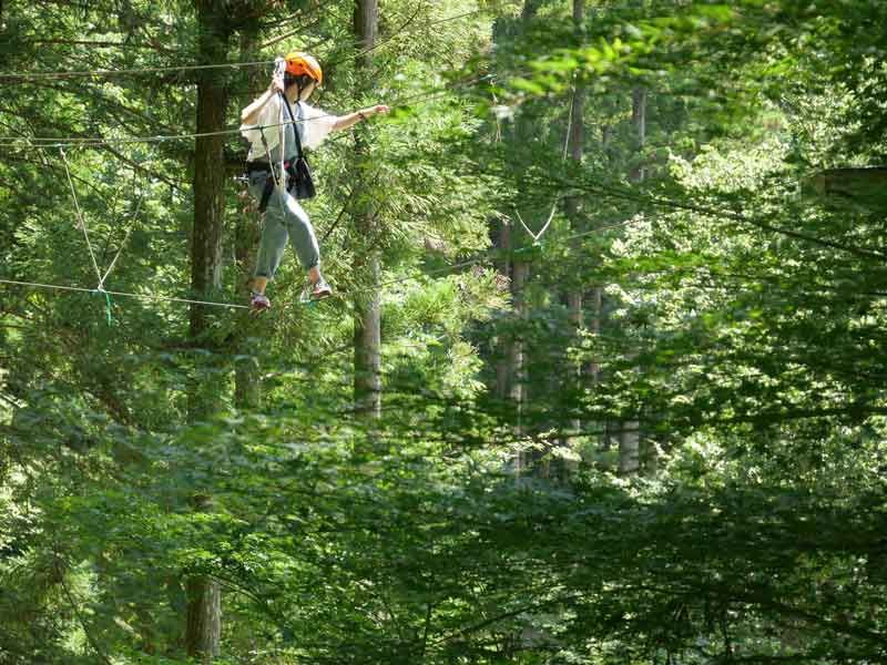 Ziplining And Thrilling Forest Adventures In Japan Activity Japan Blog