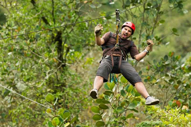 Ziplining And Thrilling Forest Adventures In Japan Activity Japan Blog