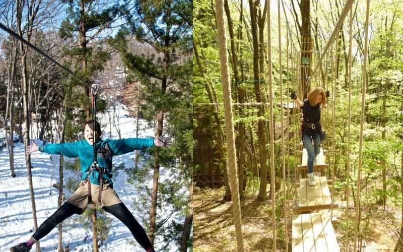 Ziplining And Thrilling Forest Adventures In Japan Activity Japan Blog