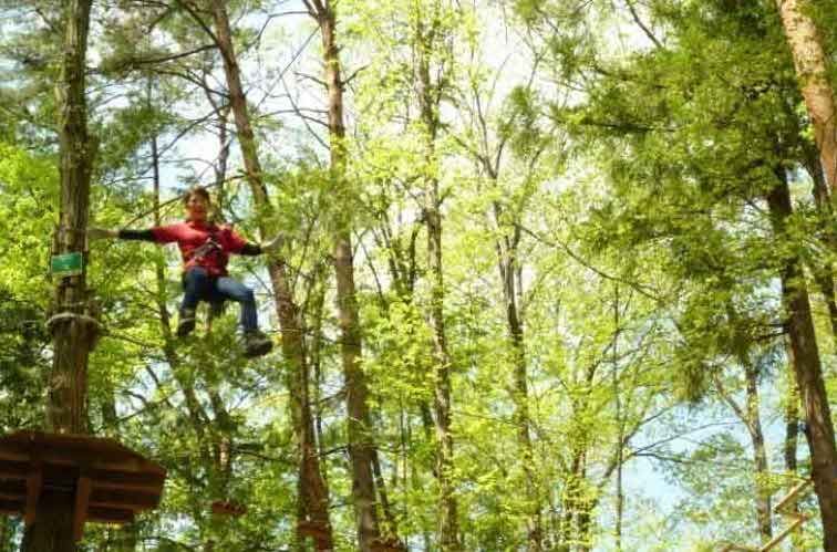 Ziplining And Thrilling Forest Adventures In Japan Activity Japan Blog